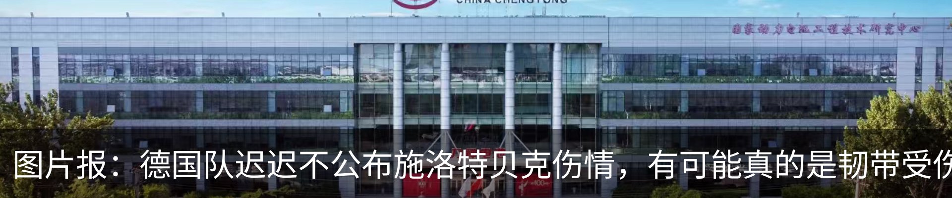 最新动态