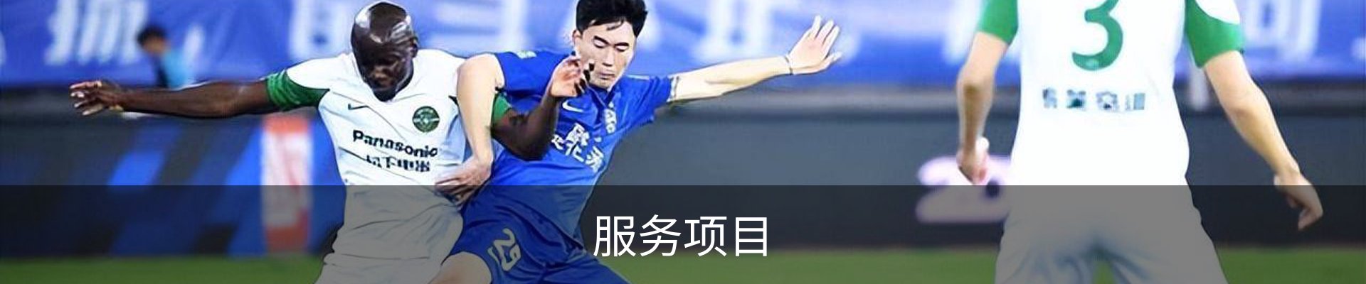服务项目