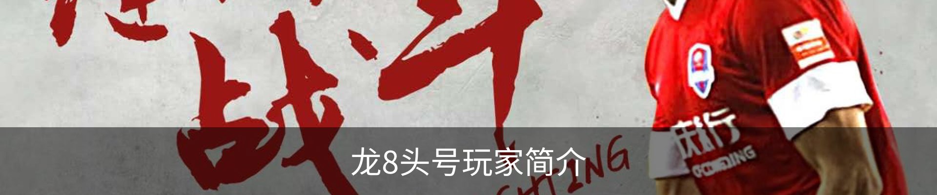龙8头号玩家简介